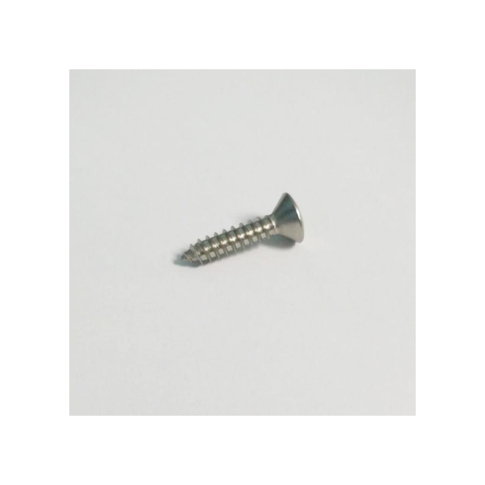 Pack of 10 SELF-TAPPING STAINLESS STEEL A2 SCREWS DIN 7983 UNI 6956